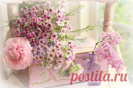 Марина Савченко