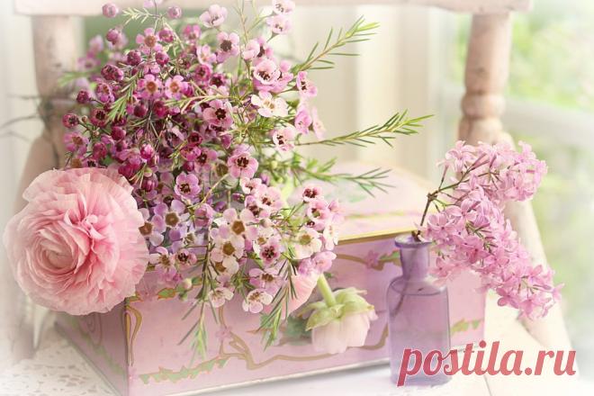 Марина Савченко