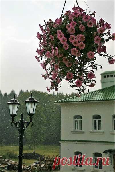 Фото дня Фонари. Победитель Лариса Агеева Поздравляем!😊😊😊 Спасибо всем за участие