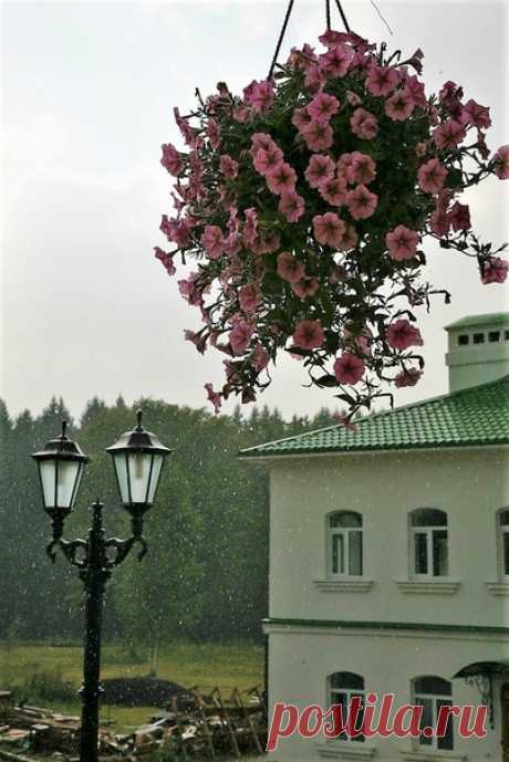 Фото дня Фонари. Победитель Лариса Агеева Поздравляем!😊😊😊 Спасибо всем за участие