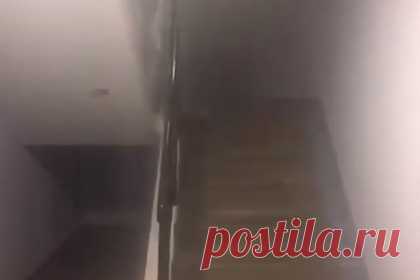 Бушующий потоп из кипятка в российском доме попал на видео. Подъезд 11-этажного дома в подмосковных Люберцах залило кипятком, инцидент попал на видео. На кадрах видно, как поток горячей воды льется по лестничным пролетам. Все пространство заполнено паром. Пользователи в соцсетях утверждают, что люди боялись выходить из квартир, а лифты остановились.