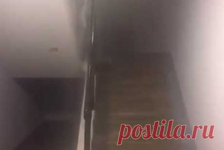 Бушующий потоп из кипятка в российском доме попал на видео. Подъезд 11-этажного дома в подмосковных Люберцах залило кипятком, инцидент попал на видео. На кадрах видно, как поток горячей воды льется по лестничным пролетам. Все пространство заполнено паром. Пользователи в соцсетях утверждают, что люди боялись выходить из квартир, а лифты остановились.