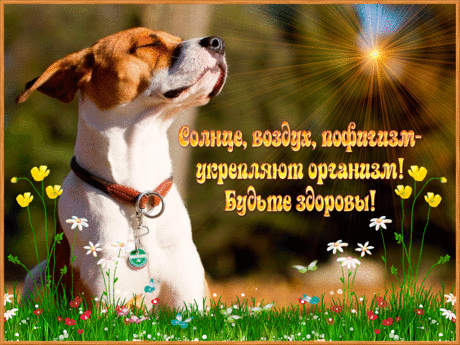 Открытки анимация Пофигизм | Открытки анимация