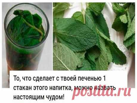 То, что сделает с твоей печенью 1 стакан этого напитка, можно назвать настоящим чудом!

Если печень перегружена или плохо работает, мы сразу же это чувствуем. Слабость, нехватка энергии, головокружение, тошнота, боль в правом подреберье, проблемы с пищеварением и кожная сыпь — всё это признаки того, что с печенью непорядок.

Очищение печени в домашних условиях возможно благодаря простому рецепту мятно-лимонного напитка! Абсолютно безопасное средство, которое тут же улучшае...