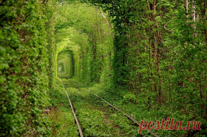 Тоннель любви / kudatotam.ru