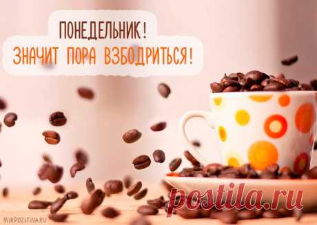 Самые смешные картинки для поднятия настроения в понедельник
