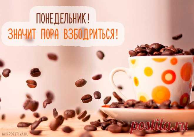 Самые смешные картинки для поднятия настроения в понедельник