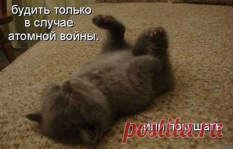 )))