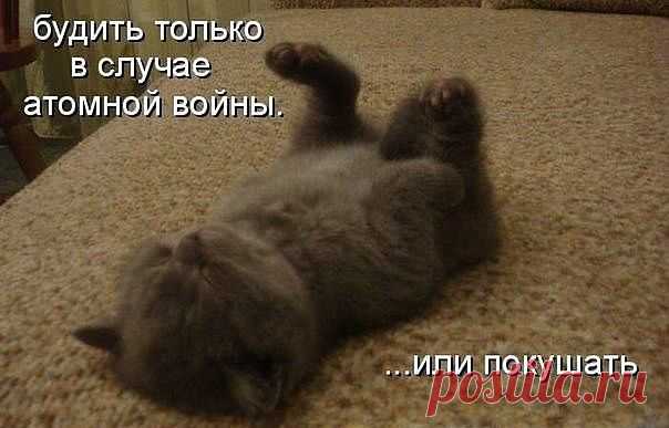 )))