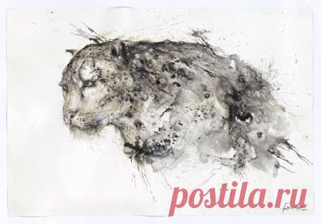 БРЫЗГИ ТВОРЧЕСТВА ОТ HUA TUNAN