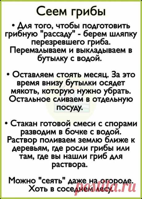 Моя дача