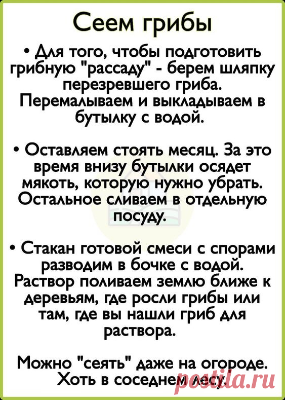Моя дача