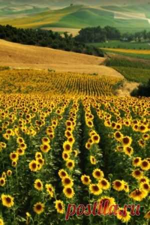 (3) Pinterest • The world’s catalog of ideas
