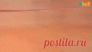 Хитрости жизни