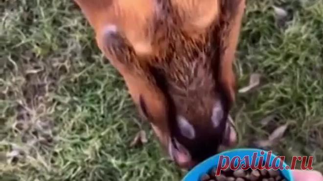 upload_256839146_file