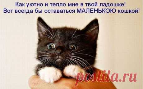 Расчёт первого ряда.