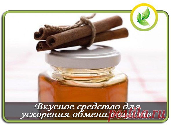 Мои закладки
