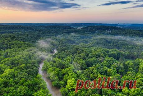 Факты о тропических лесах Амазонки Неприступные леса Амазонки можно с уверенностью назвать одним из самых завораживающих мест на планете Земля. Разнообразие флоры и фауны привлекают в Амазонию десятки тысяч ученых со всего мира.