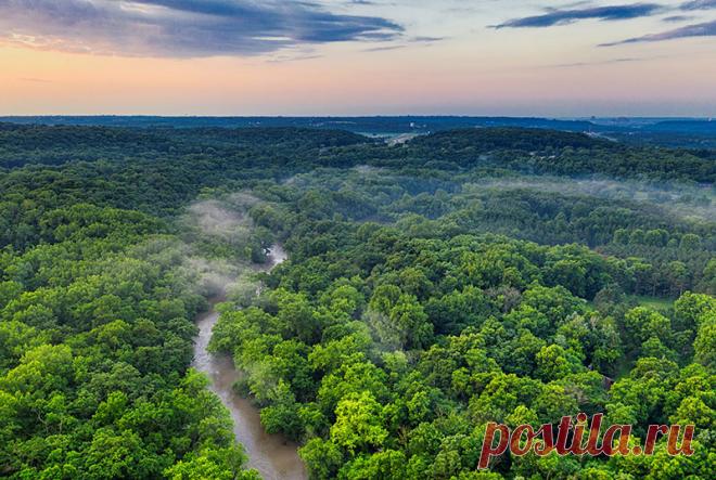 Факты о тропических лесах Амазонки Неприступные леса Амазонки можно с уверенностью назвать одним из самых завораживающих мест на планете Земля. Разнообразие флоры и фауны привлекают в Амазонию десятки тысяч ученых со всего мира.