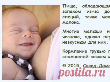 Кормление грудью преимущества и сложности - Сосед-Домосед
