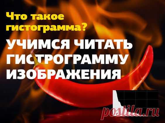 Как оценить правильность экспозиции и цветопередачи снимка? Как объективно оценить изображение? На помощь приходит график гистограммы изображения.