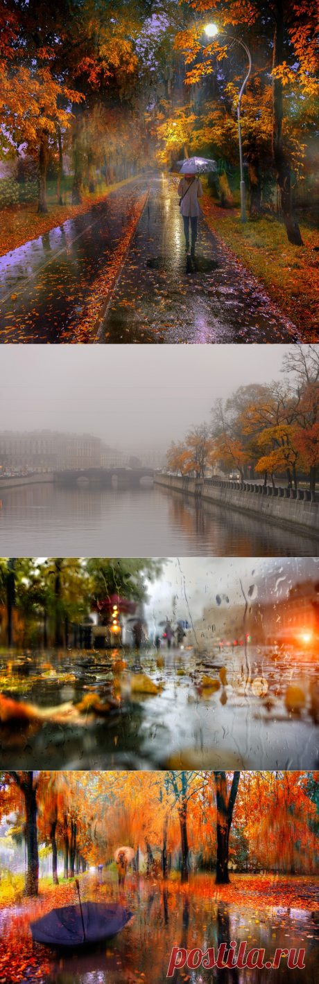 Фотограф Эдуард Гордеев.