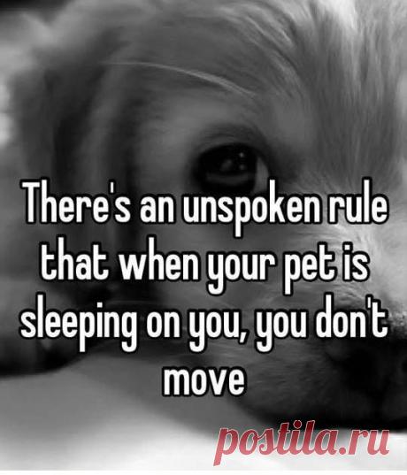 Timeline Photos - StudioKat Designs