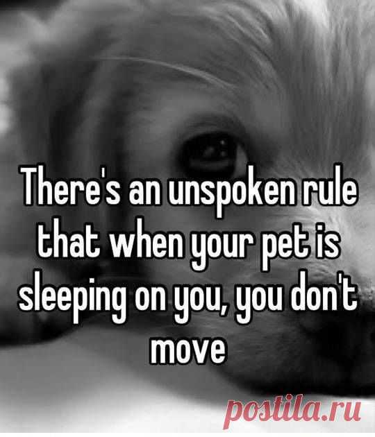 Timeline Photos - StudioKat Designs