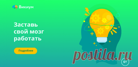 Как создать доходный информационный сайт – инструкция
