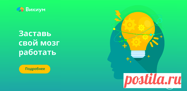 Как создать доходный информационный сайт – инструкция