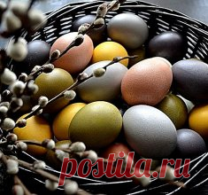 Натуральные красители для пасхальных яиц