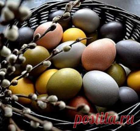 Натуральные красители для пасхальных яиц