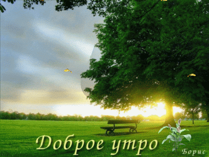 Живые фотографии – Живые картинки – Сообщество – Google+