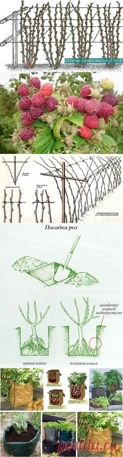 (55) Одноклассники