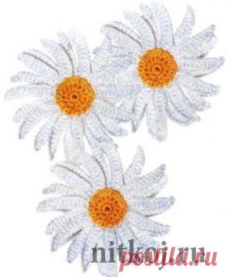 Ромашки крючком » Ниткой - вязаные вещи для вашего дома, вязание крючком, вязание спицами, схемы вязания