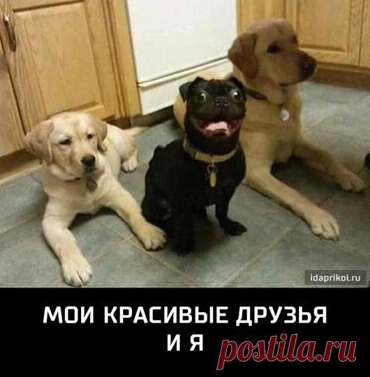 Одноклассники