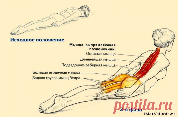 Всего одно упражнение для королевской осанки