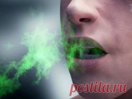 Избавляемся от запаха чеснока / Домоседы