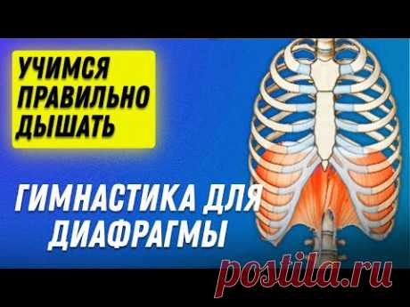 ГИМНАСТИКА ДЛЯ ДИАФРАГМЫ. Полезные упражнения на каждый день | Остеопат Марина Просветина