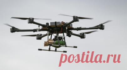 В Ленобласти после утренней атаки ВСУ обнаружили поражённые части БПЛА. В Ленинградской области после утренней атаки ВСУ обнаружили поражённые части БПЛА. Читать далее