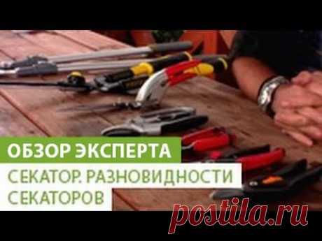 Секатор. Разновидности секаторов