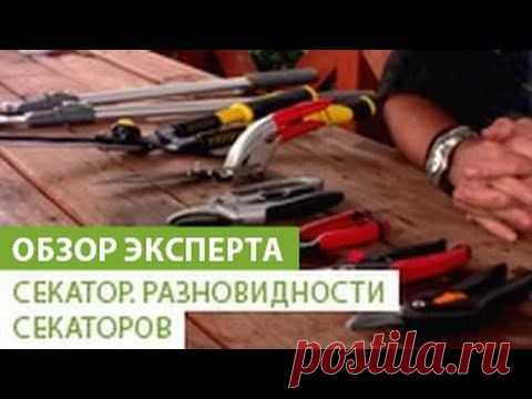 Секатор. Разновидности секаторов