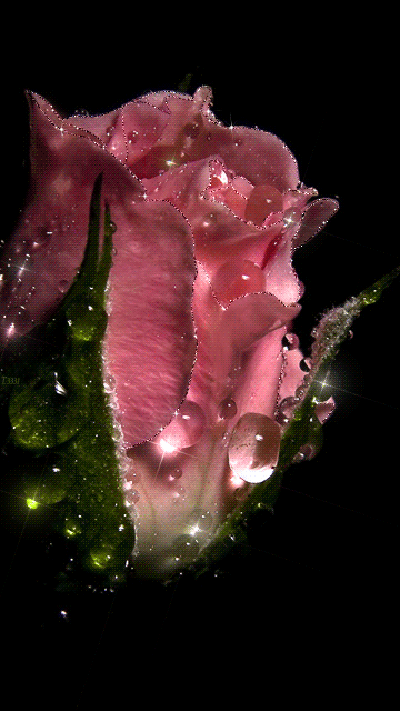 Pinterest