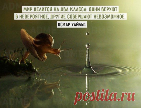 Вдохновляющие цитаты на все времена / Приколы