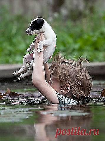 Вот 
этот мальчик вырастит хорошим человеком и ответственным сыном!!!