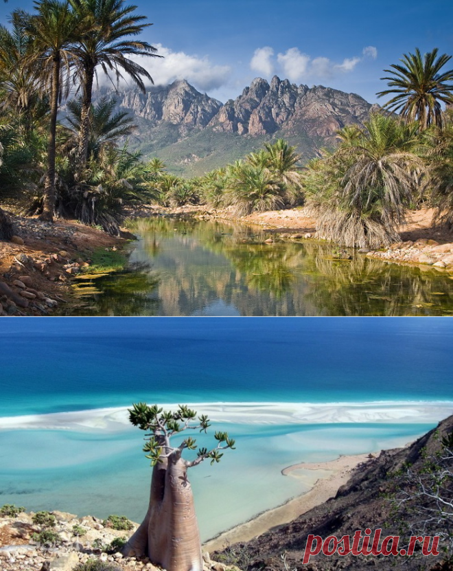 Острове Счастья - Сокотра (Socotra)|Уникальнейшее место во Вселенной (Йемен, Индийский океан)