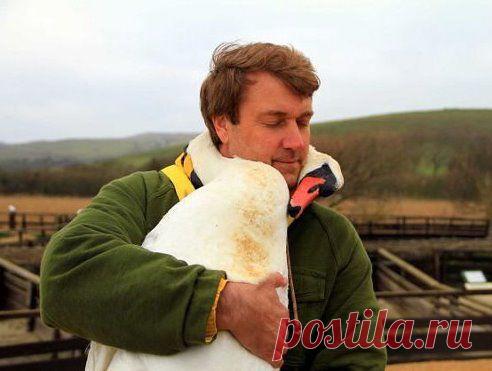 Одноклассники