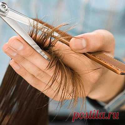Масло и соль ускоряют рост волос до 6 см в месяц! Маска (соль и масло бей) мне понравилась за свою простоту и, самое главное, эффективность. Когда через 2 недели использования волосы дали рост волос на 3 см