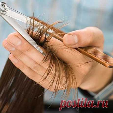 Масло и соль ускоряют рост волос до 6 см в месяц! Маска (соль и масло бей) мне понравилась за свою простоту и, самое главное, эффективность. Когда через 2 недели использования волосы дали рост волос на 3 см