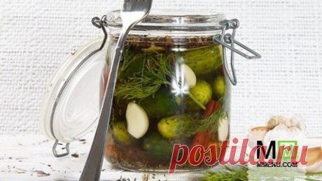 Кошерные огурцы с укропом - кулинарный рецепт. Миллион Меню